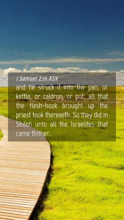 Picture 04 - 1 Samuel 2:14 ASV Mobile Phone Wallpaper - and he struck it into the pan, or kettle, or - Mobile Bible Verse Wallpaper