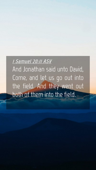 Picture 04 - 1 Samuel 20:11 ASV Mobile Phone Wallpaper - And Jonathan said unto David, Come, and let us go - Mobile Bible Verse Wallpaper