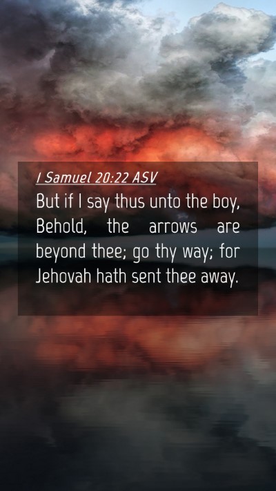 Picture 04 - 1 Samuel 20:22 ASV Mobile Phone Wallpaper - But if I say thus unto the boy, Behold, the - Mobile Bible Verse Wallpaper