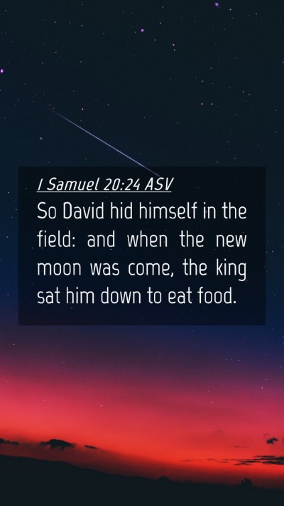 Picture 04 - 1 Samuel 20:24 ASV Mobile Phone Wallpaper - So David hid himself in the field: and when the - Mobile Bible Verse Wallpaper