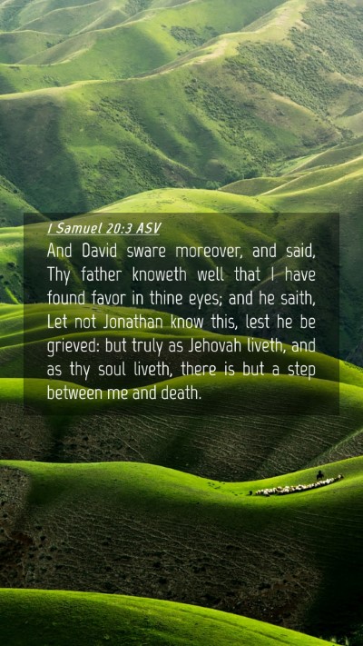 Picture 04 - 1 Samuel 20:3 ASV Mobile Phone Wallpaper - And David sware moreover, and said, Thy father - Mobile Bible Verse Wallpaper