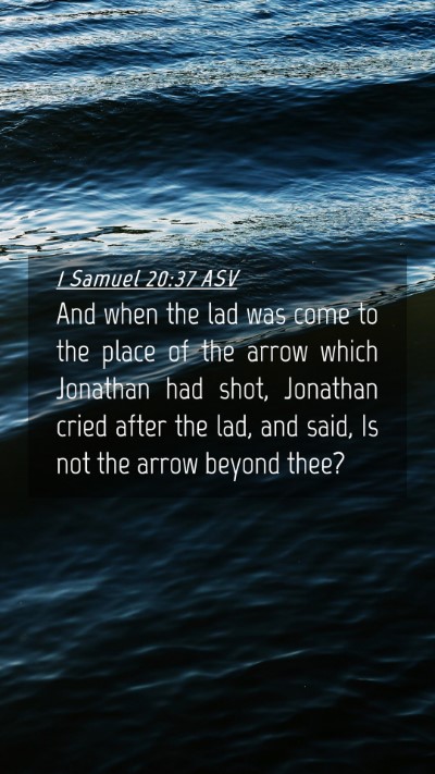Picture 04 - 1 Samuel 20:37 ASV Mobile Phone Wallpaper - And when the lad was come to the place of the - Mobile Bible Verse Wallpaper