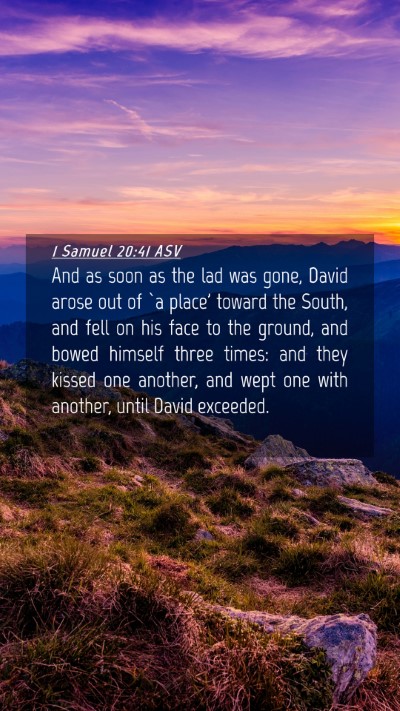 Picture 04 - 1 Samuel 20:41 ASV Mobile Phone Wallpaper - And as soon as the lad was gone, David arose out - Mobile Bible Verse Wallpaper