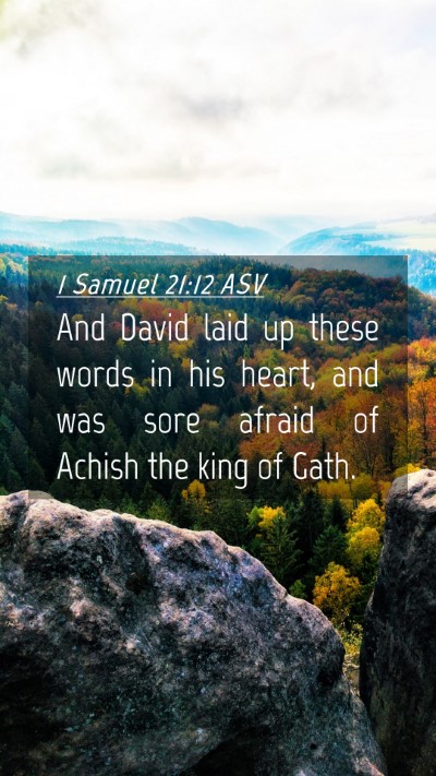 Picture 04 - 1 Samuel 21:12 ASV Mobile Phone Wallpaper - And David laid up these words in his heart, and - Mobile Bible Verse Wallpaper