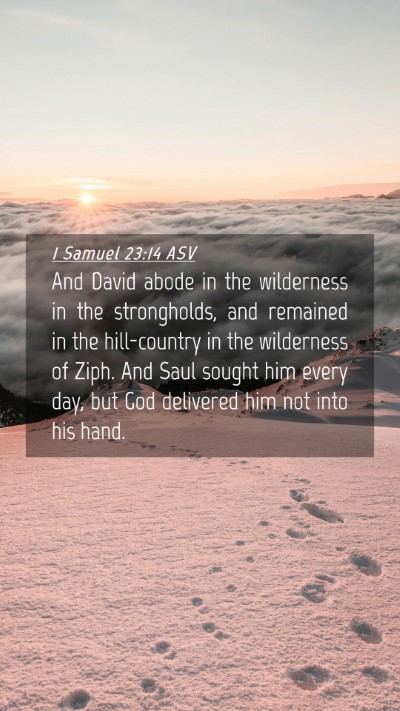 Picture 04 - 1 Samuel 23:14 ASV Mobile Phone Wallpaper - And David abode in the wilderness in the - Mobile Bible Verse Wallpaper