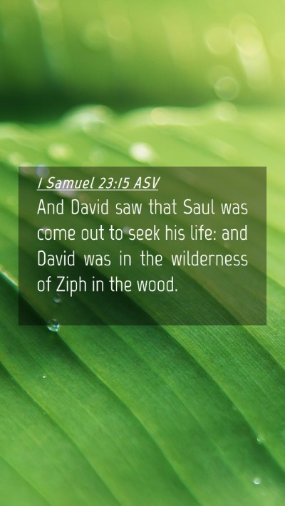Picture 04 - 1 Samuel 23:15 ASV Mobile Phone Wallpaper - And David saw that Saul was come out to seek his - Mobile Bible Verse Wallpaper