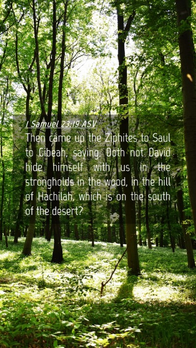 Picture 04 - 1 Samuel 23:19 ASV Mobile Phone Wallpaper - Then came up the Ziphites to Saul to Gibeah, - Mobile Bible Verse Wallpaper
