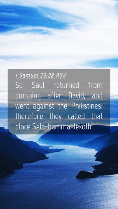 Picture 04 - 1 Samuel 23:28 ASV Mobile Phone Wallpaper - So Saul returned from pursuing after David, and - Mobile Bible Verse Wallpaper