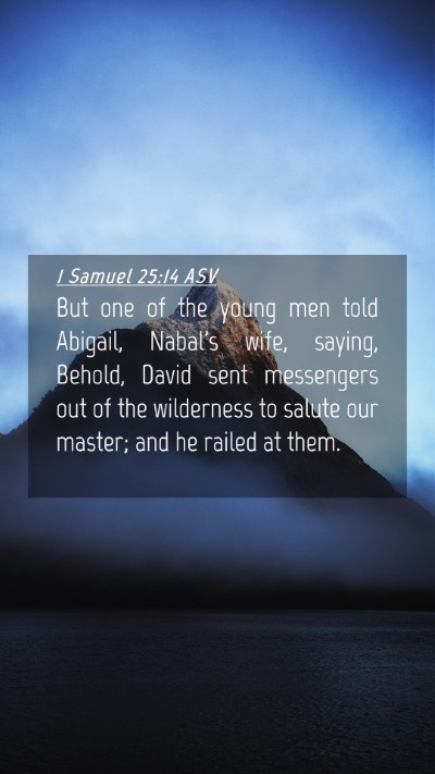 Picture 04 - 1 Samuel 25:14 ASV Mobile Phone Wallpaper - But one of the young men told Abigail, Nabal's - Mobile Bible Verse Wallpaper