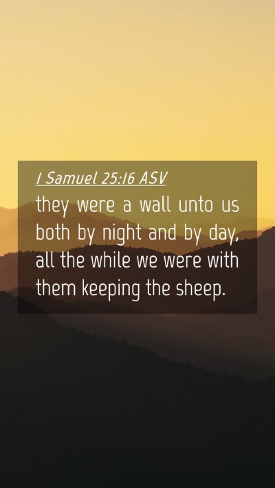 Picture 04 - 1 Samuel 25:16 ASV Mobile Phone Wallpaper - they were a wall unto us both by night and by - Mobile Bible Verse Wallpaper
