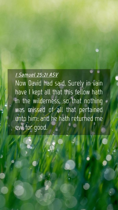 Picture 04 - 1 Samuel 25:21 ASV Mobile Phone Wallpaper - Now David had said, Surely in vain have I kept - Mobile Bible Verse Wallpaper