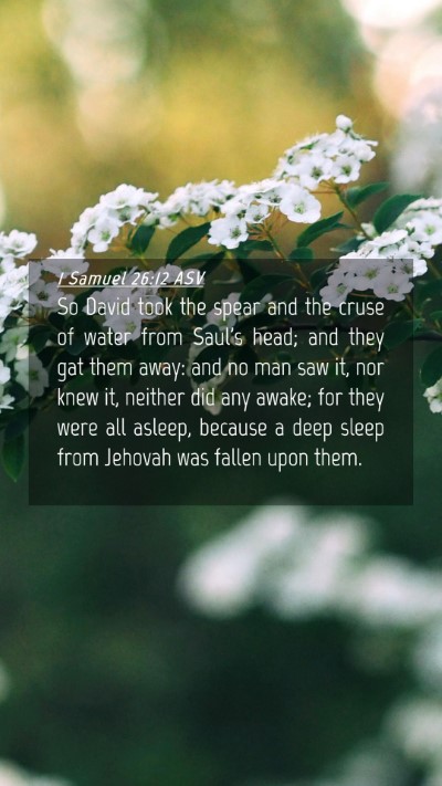 Picture 04 - 1 Samuel 26:12 ASV Mobile Phone Wallpaper - So David took the spear and the cruse of water - Mobile Bible Verse Wallpaper