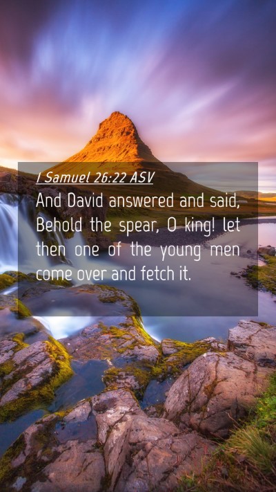 Picture 04 - 1 Samuel 26:22 ASV Mobile Phone Wallpaper - And David answered and said, Behold the spear, O - Mobile Bible Verse Wallpaper