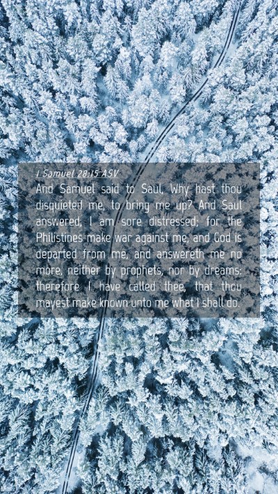Picture 04 - 1 Samuel 28:15 ASV Mobile Phone Wallpaper - And Samuel said to Saul, Why hast thou disquieted - Mobile Bible Verse Wallpaper