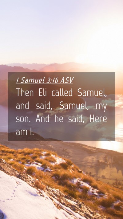 Picture 04 - 1 Samuel 3:16 ASV Mobile Phone Wallpaper - Then Eli called Samuel, and said, Samuel, my son. - Mobile Bible Verse Wallpaper