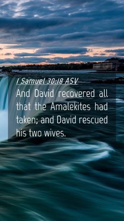 Picture 04 - 1 Samuel 30:18 ASV Mobile Phone Wallpaper - And David recovered all that the Amalekites had - Mobile Bible Verse Wallpaper