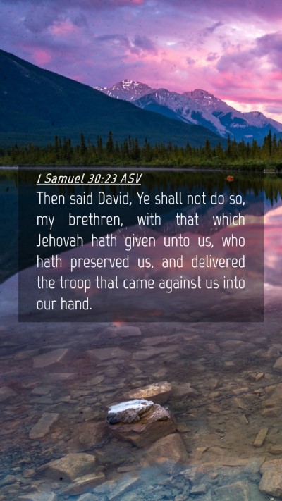 Picture 04 - 1 Samuel 30:23 ASV Mobile Phone Wallpaper - Then said David, Ye shall not do so, my brethren, - Mobile Bible Verse Wallpaper