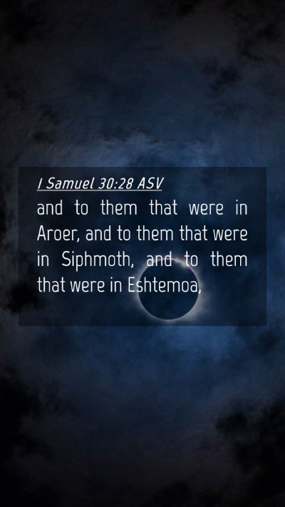 Picture 04 - 1 Samuel 30:28 ASV Mobile Phone Wallpaper - and to them that were in Aroer, and to them that - Mobile Bible Verse Wallpaper