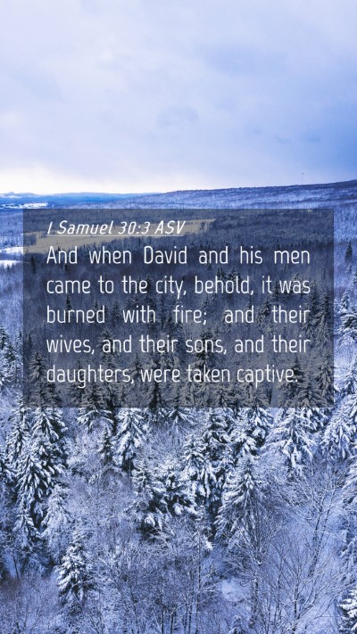 Picture 04 - 1 Samuel 30:3 ASV Mobile Phone Wallpaper - And when David and his men came to the city, - Mobile Bible Verse Wallpaper