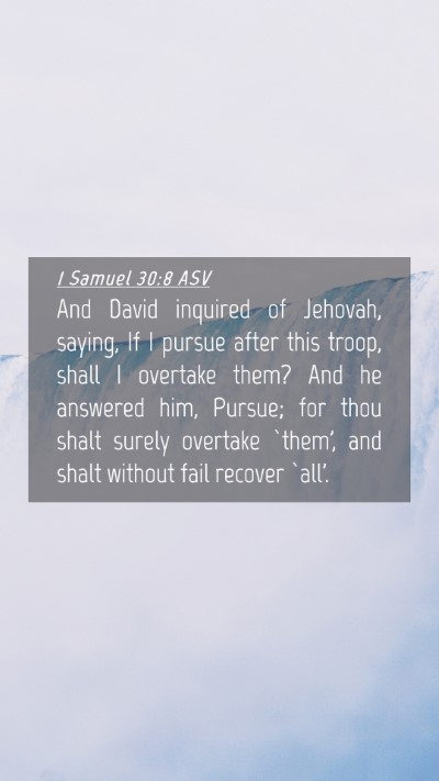 Picture 04 - 1 Samuel 30:8 ASV Mobile Phone Wallpaper - And David inquired of Jehovah, saying, If I - Mobile Bible Verse Wallpaper