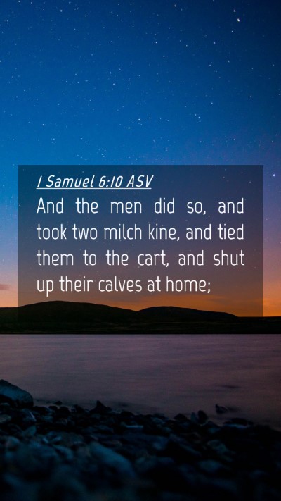 Picture 04 - 1 Samuel 6:10 ASV Mobile Phone Wallpaper - And the men did so, and took two milch kine, and - Mobile Bible Verse Wallpaper