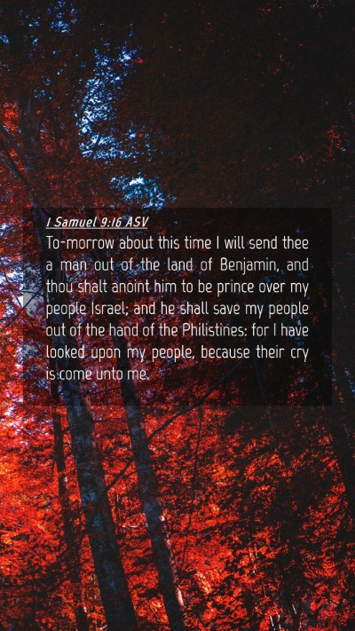 Picture 04 - 1 Samuel 9:16 ASV Mobile Phone Wallpaper - To-morrow about this time I will send thee a man - Mobile Bible Verse Wallpaper