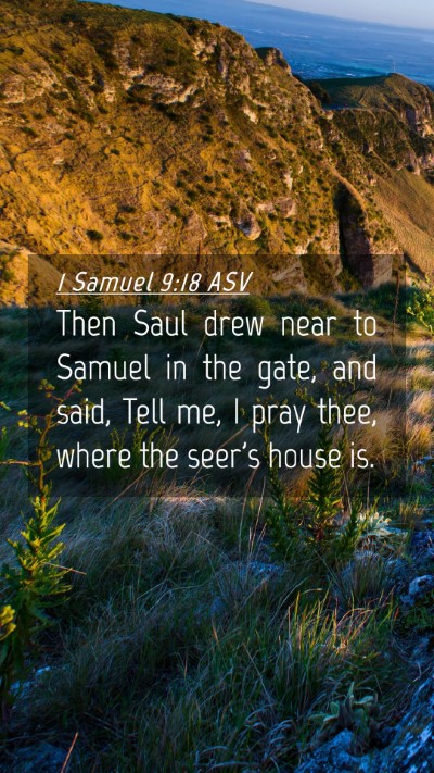 Picture 04 - 1 Samuel 9:18 ASV Mobile Phone Wallpaper - Then Saul drew near to Samuel in the gate, and - Mobile Bible Verse Wallpaper