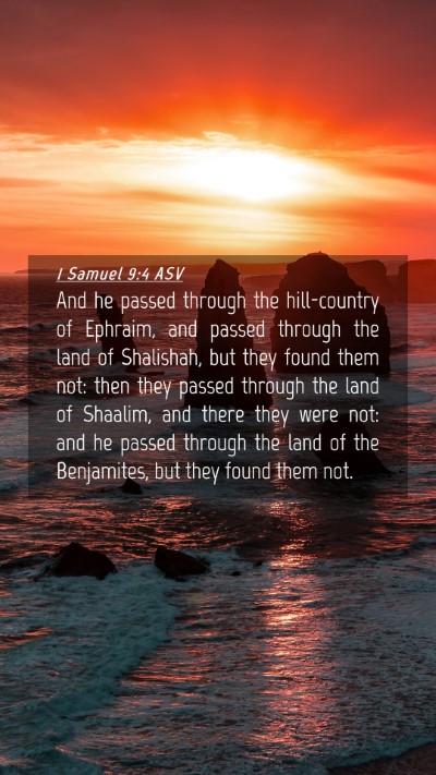 Picture 04 - 1 Samuel 9:4 ASV Mobile Phone Wallpaper - And he passed through the hill-country of - Mobile Bible Verse Wallpaper
