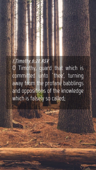 Picture 04 - 1 Timothy 6:20 ASV Mobile Phone Wallpaper - O Timothy, guard that which is committed unto - Mobile Bible Verse Wallpaper