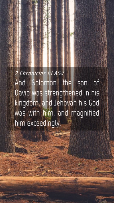 Picture 04 - 2 Chronicles 1:1 ASV Mobile Phone Wallpaper - And Solomon the son of David was strengthened in - Mobile Bible Verse Wallpaper