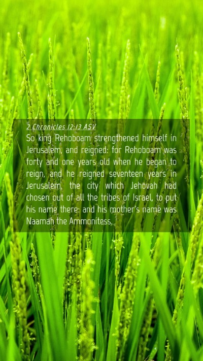 Picture 04 - 2 Chronicles 12:13 ASV Mobile Phone Wallpaper - So king Rehoboam strengthened himself in - Mobile Bible Verse Wallpaper
