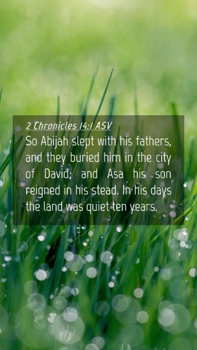 Picture 04 - 2 Chronicles 14:1 ASV Mobile Phone Wallpaper - So Abijah slept with his fathers, and they buried - Mobile Bible Verse Wallpaper