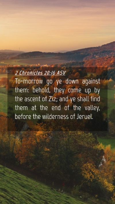 Picture 04 - 2 Chronicles 20:16 ASV Mobile Phone Wallpaper - To-morrow go ye down against them: behold, they - Mobile Bible Verse Wallpaper