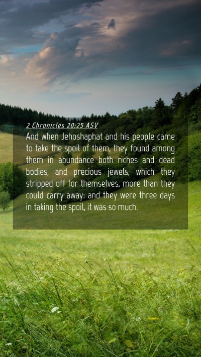 Picture 04 - 2 Chronicles 20:25 ASV Mobile Phone Wallpaper - And when Jehoshaphat and his people came to take - Mobile Bible Verse Wallpaper
