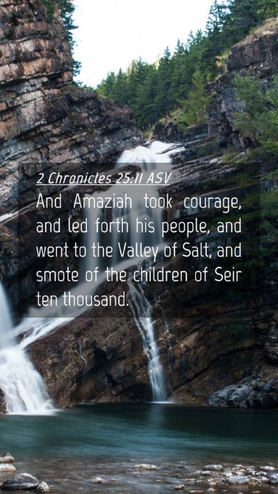 Picture 04 - 2 Chronicles 25:11 ASV Mobile Phone Wallpaper - And Amaziah took courage, and led forth his - Mobile Bible Verse Wallpaper