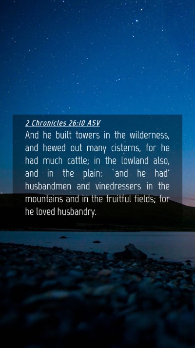 Picture 04 - 2 Chronicles 26:10 ASV Mobile Phone Wallpaper - And he built towers in the wilderness, and hewed - Mobile Bible Verse Wallpaper