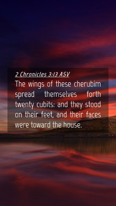 Picture 04 - 2 Chronicles 3:13 ASV Mobile Phone Wallpaper - The wings of these cherubim spread themselves - Mobile Bible Verse Wallpaper
