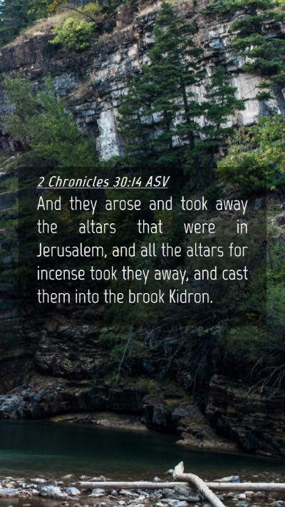 Picture 04 - 2 Chronicles 30:14 ASV Mobile Phone Wallpaper - And they arose and took away the altars that were - Mobile Bible Verse Wallpaper