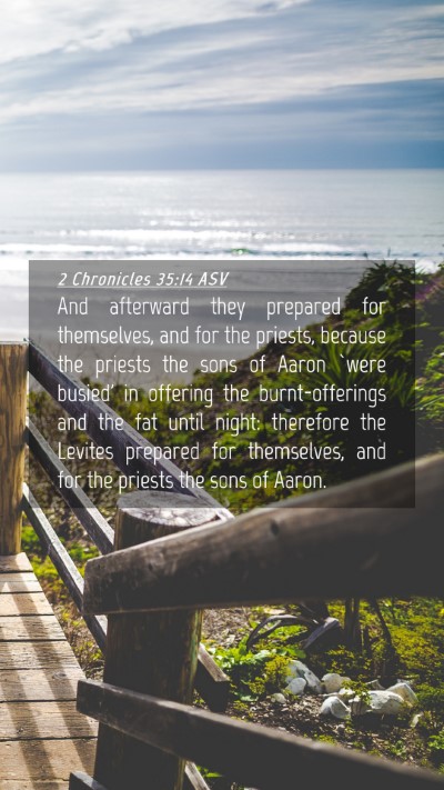 Picture 04 - 2 Chronicles 35:14 ASV Mobile Phone Wallpaper - And afterward they prepared for themselves, and - Mobile Bible Verse Wallpaper