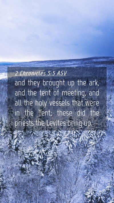 Picture 04 - 2 Chronicles 5:5 ASV Mobile Phone Wallpaper - and they brought up the ark, and the tent of - Mobile Bible Verse Wallpaper