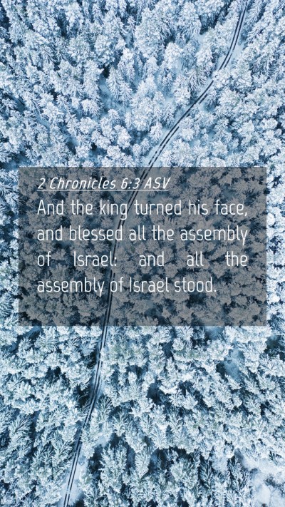 Picture 04 - 2 Chronicles 6:3 ASV Mobile Phone Wallpaper - And the king turned his face, and blessed all the - Mobile Bible Verse Wallpaper
