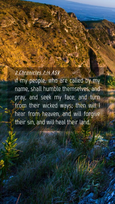 Picture 04 - 2 Chronicles 7:14 ASV Mobile Phone Wallpaper - if my people, who are called by my name, shall - Mobile Bible Verse Wallpaper