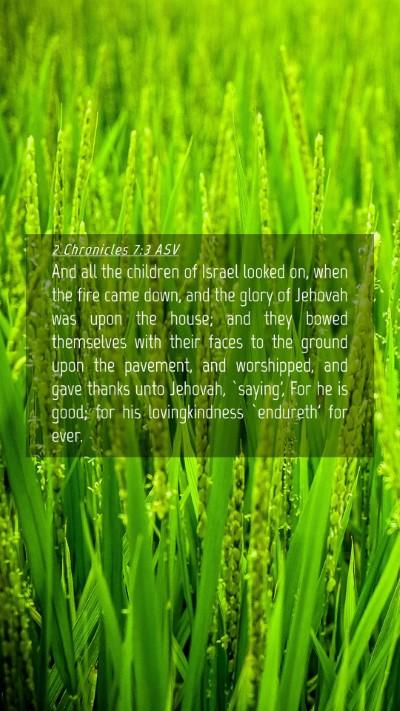 Picture 04 - 2 Chronicles 7:3 ASV Mobile Phone Wallpaper - And all the children of Israel looked on, when - Mobile Bible Verse Wallpaper