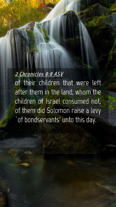 Picture 04 - 2 Chronicles 8:8 ASV Mobile Phone Wallpaper - of their children that were left after them in - Mobile Bible Verse Wallpaper