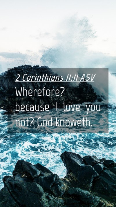 Picture 04 - 2 Corinthians 11:11 ASV Mobile Phone Wallpaper - Wherefore? because I love you not? God - Mobile Bible Verse Wallpaper