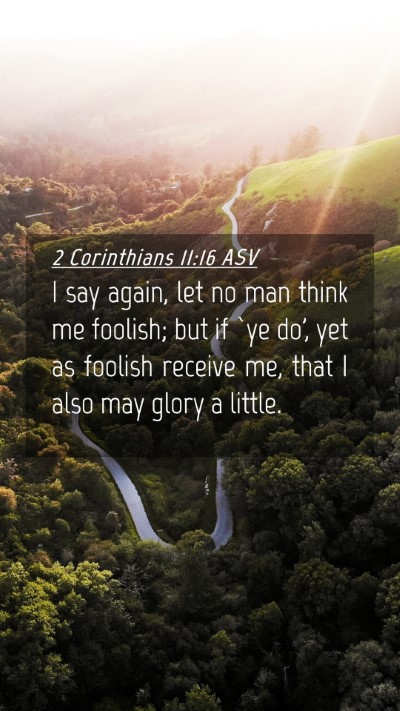Picture 04 - 2 Corinthians 11:16 ASV Mobile Phone Wallpaper - I say again, let no man think me foolish; but if - Mobile Bible Verse Wallpaper