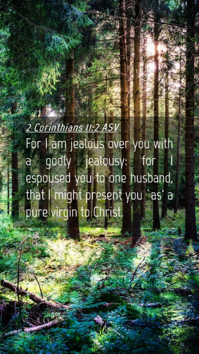Picture 04 - 2 Corinthians 11:2 ASV Mobile Phone Wallpaper - For I am jealous over you with a godly jealousy: - Mobile Bible Verse Wallpaper