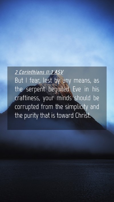 Picture 04 - 2 Corinthians 11:3 ASV Mobile Phone Wallpaper - But I fear, lest by any means, as the serpent - Mobile Bible Verse Wallpaper