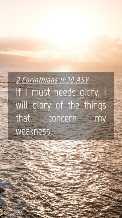 Picture 04 - 2 Corinthians 11:30 ASV Mobile Phone Wallpaper - If I must needs glory, I will glory of the things - Mobile Bible Verse Wallpaper