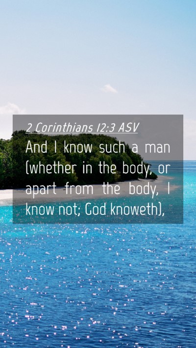 Picture 04 - 2 Corinthians 12:3 ASV Mobile Phone Wallpaper - And I know such a man (whether in the body, or - Mobile Bible Verse Wallpaper
